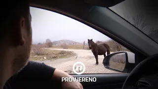 Godinama su ugrožavali promet, a onda je jedna općina rekla dosta | Provjereno