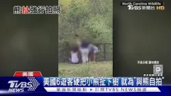 就為了自拍! 美國6遊客硬把小熊扯下樹 熊寶寶嚇歪想逃 ｜TVBS新聞 @TVBSNEWS01