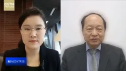 Ding Yifan : l'argument de la « surcapacité » chinoise est sans fondement et dangereux