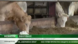 Заради шапа ЕК обяви Кипър за „забранена зона“