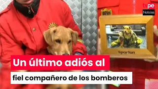 Breña firefighters say their final goodbye to Spartan, their companion of 12 years