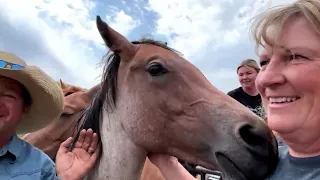 Protecting horse herd is couple's top priority as Rocky Canyon Fire grows larger
