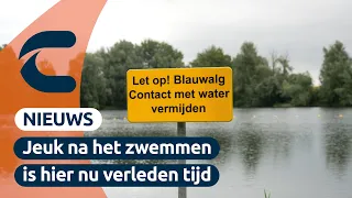 Swimming in the Breuly is safe again after province lifts blue-green algae warning | Connect