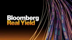 Bloomberg Real Yield 04/19/2024