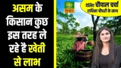 Chaupal Charcha | असम के किसान कुछ इस तरह ले रहे है खेती से लाभ | Assam | Radhika Choudhary DD Kisan