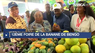 Angola - Banane : 237 000 USD de revenus enregistrés