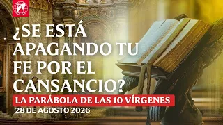 Readings and Homily - 08/28/2026 - Fr. Mark