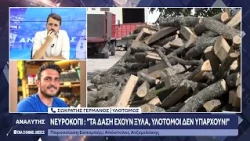 Νευροκόπι: «Τα δάση έχουν ξύλα, υλοτόμοι δεν υπάρχουν!»