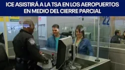 ICE asistirá a la TSA en los aeropuertos en medio del cierre parcial. | FOX 7 Español