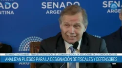 FERNANDO D'ALESSANDRO - APPOINTMENTS COMMITTEE 10/07/26