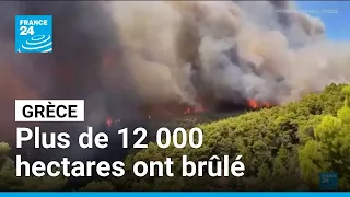 Incendies en Grèce : "Tout ce qui existait a été détruit" • FRANCE 24
