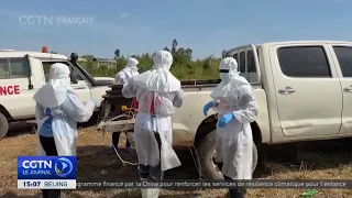 Over 4,000 Ebola cases in the DRC: WHO recommends clinical trial for Ervebo