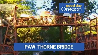 Paw-thorne Bridge featured in Catio Tour of Portland