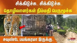 சிக்கிடுச்சு.. சிக்கிடுச்சு.. தொழிலாளர்கள் நிம்மதி பெருமூச்சு.. சவுண்டே பயங்கரமா இருக்கு..