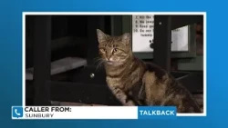 Calls about cats, lakes, and Joe | Talkback 16