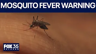 Mosquito fever warning issued after several dengue cases in Orange County