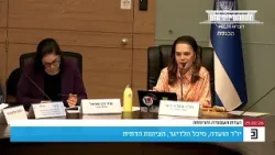 "מדומיין לחשוב שמישהו עם אפיזודה דיכאונית חריפה יכול לנסוע 58 דקות כדי לקבל טיפול"