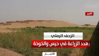 Al Hudaydah | Sand encroachment devours farms and shrinks agricultural production in Hays and Al ...