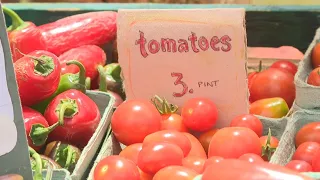 Ozark Folkways hosts annual Tomato Festival