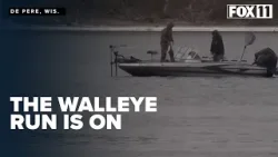 Walleye fishermen hit Wisconsin's Fox River for annual spring spawning run
