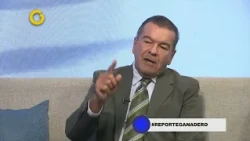 GV Reporte Estelar | Entrevista con José Agustín Campos (3/3)