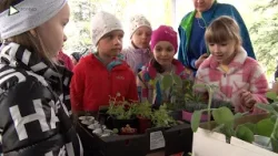 Deti si vymieňali vypestované rastliny