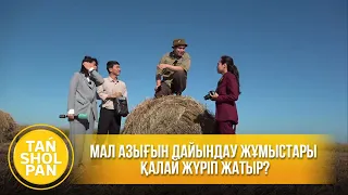 Мал азығын дайындау жұмыстары қалай жүріп жатыр?