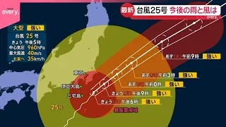 【木原さん解説】台風25号まもなく関東地方に最接近  雨風ピークと今後の進路は