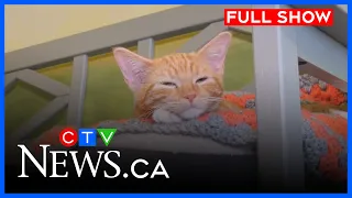 Winnipeg animal shelters overwhelmed | CTV News Winnipeg Evening News at 6 pm for Sept. 4, 2026