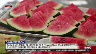 Dinnyeszezon: a felvásárlási árak nem követik a megnövekedett termelési költségeket - HírTV