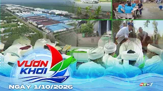 VUON KHOI PROGRAM OCTOBER 1, 2026
