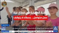 Egyptian Committee Expands Relief Efforts to Protect the Dignity of Displaced Persons in the Gaza...