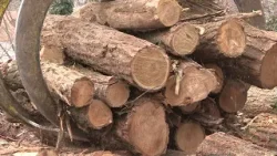 Zalaszántón is fellobban a Lelkünk melege