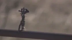 В городе Эри жителям предписано отключить системы полива до конца марта. В городе Эри жителям предписано отключить системы полива до конца марта.