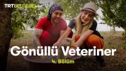 Gönüllü Veteriner | 4. Bölüm | TRT Belgesel