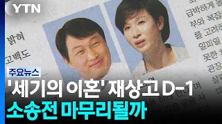 최태원-노소영 재상고 기한 D-1...9년 소송 마무리될까 / YTN