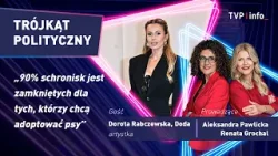 Doda: 90% schronisk jest zamkniętych dla tych, którzy chcą adoptować psy | TRÓJKĄT POLITYCZNY