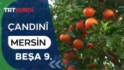 Çandinî - Beşa 9. (Mersin)