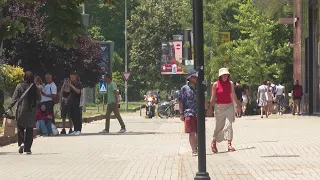 Топлотниот бран ги полни детските амбуланти