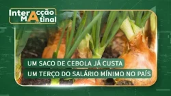 #InteracçãoMatinal: Um saco de cebola já custa um terço do salário mínimo no país- @Miramar News