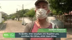 ECO NEWS BY ΔΕΗ | 11/04/2026 ECO NEWS BY ΔΕΗ | 11/04/2026