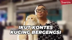 Uya Kuya Perlihatkan Kucing Peliharaannya yang Ikut Kontes dengan Juri dari Amerika Serikat