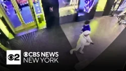 Teenage suspect in Times Square shooting due in court