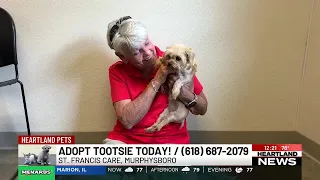 Heartland Pets feat. Tootsie on 9/11