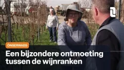 Sommige taken zijn minder sexy in Eyserheide, zo merkt Óngerwaeg Sommige taken zijn minder sexy in Eyserheide, zo merkt Óngerwaeg