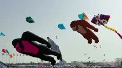 ?Вэйфан: дом воздушных драконов