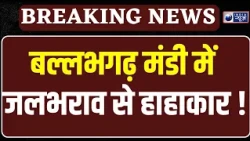 Faridabad की मंडी में गंदगी का अंबार, बारिश के बाद हर तरफ जलभराव | India News Haryana