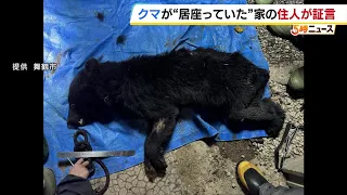 Peeked under the eaves to find a bear: Resident describes the moment, "At first glance, I thought...
