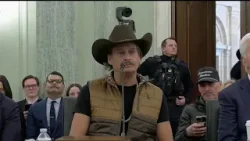 Kid Rock testifies on Capital Hill against price gouging