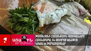 Թումանյանի համայնքային ոստիկանները հայտնաբերել են աճեցրած կանեփ ու կակաչ և թմրամիջոցներ